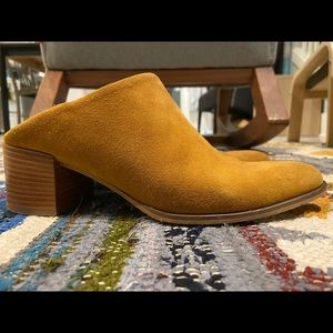 Everlane Suede Heel Mule